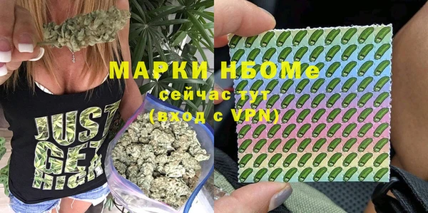 apvp Алексин
