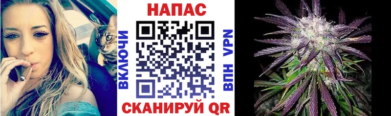 Бошки Шишки конопля  Чердынь 